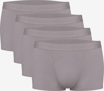 SLOGGI Boxer shorts in Grey: front