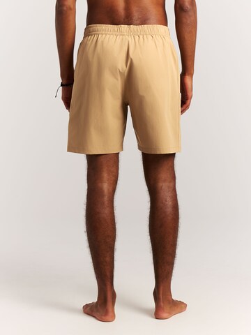 PROTEST Badeshorts 'PRTBaky'‌‌‌‌‌‌‌‌ in Braun