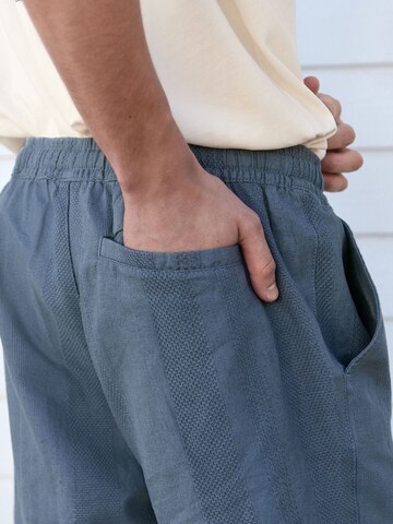 Next Regular Broek in Blauw
