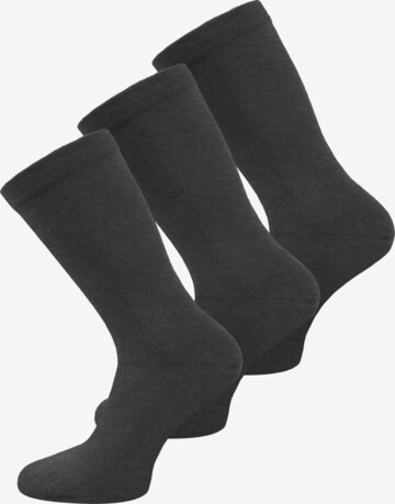 Chaussettes normani en gris : devant