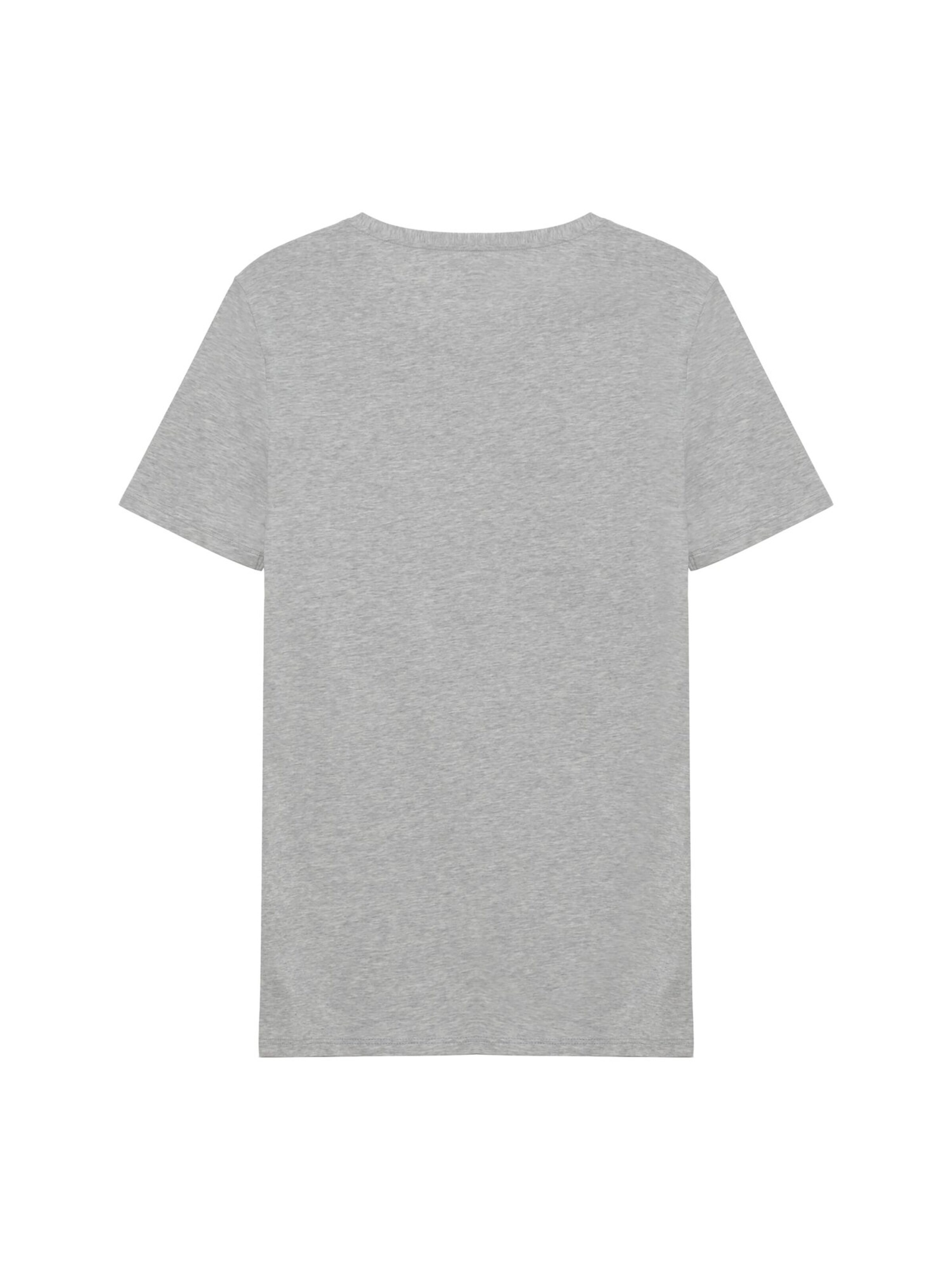 Tezenis Shirt in Grey
