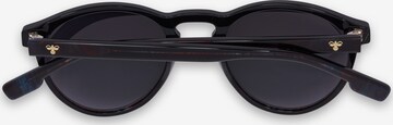 Hummel Sunglasses in Mixed colors