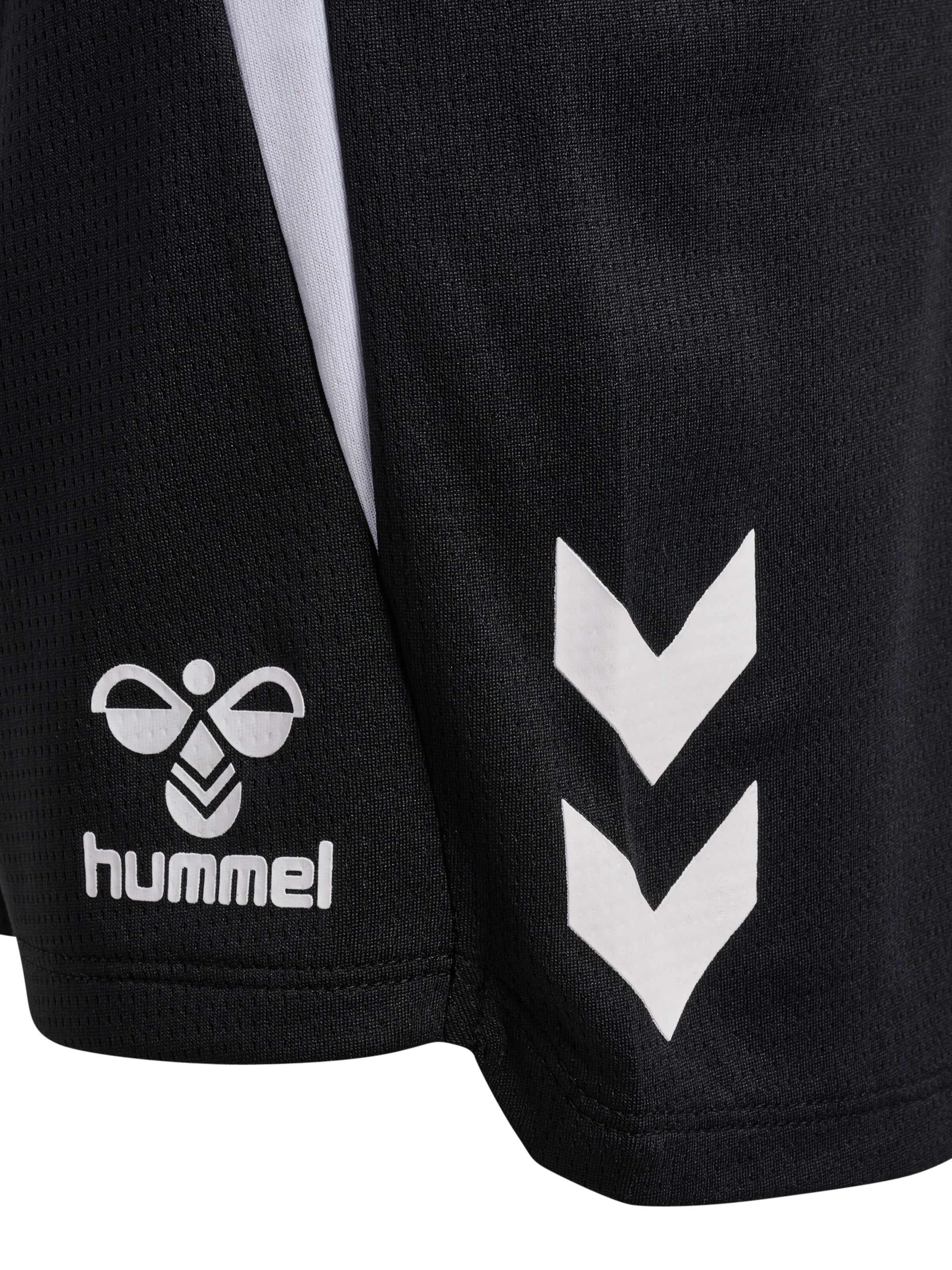 Regular Pantalon fonctionnel 'Lead 2.0' Hummel en noir