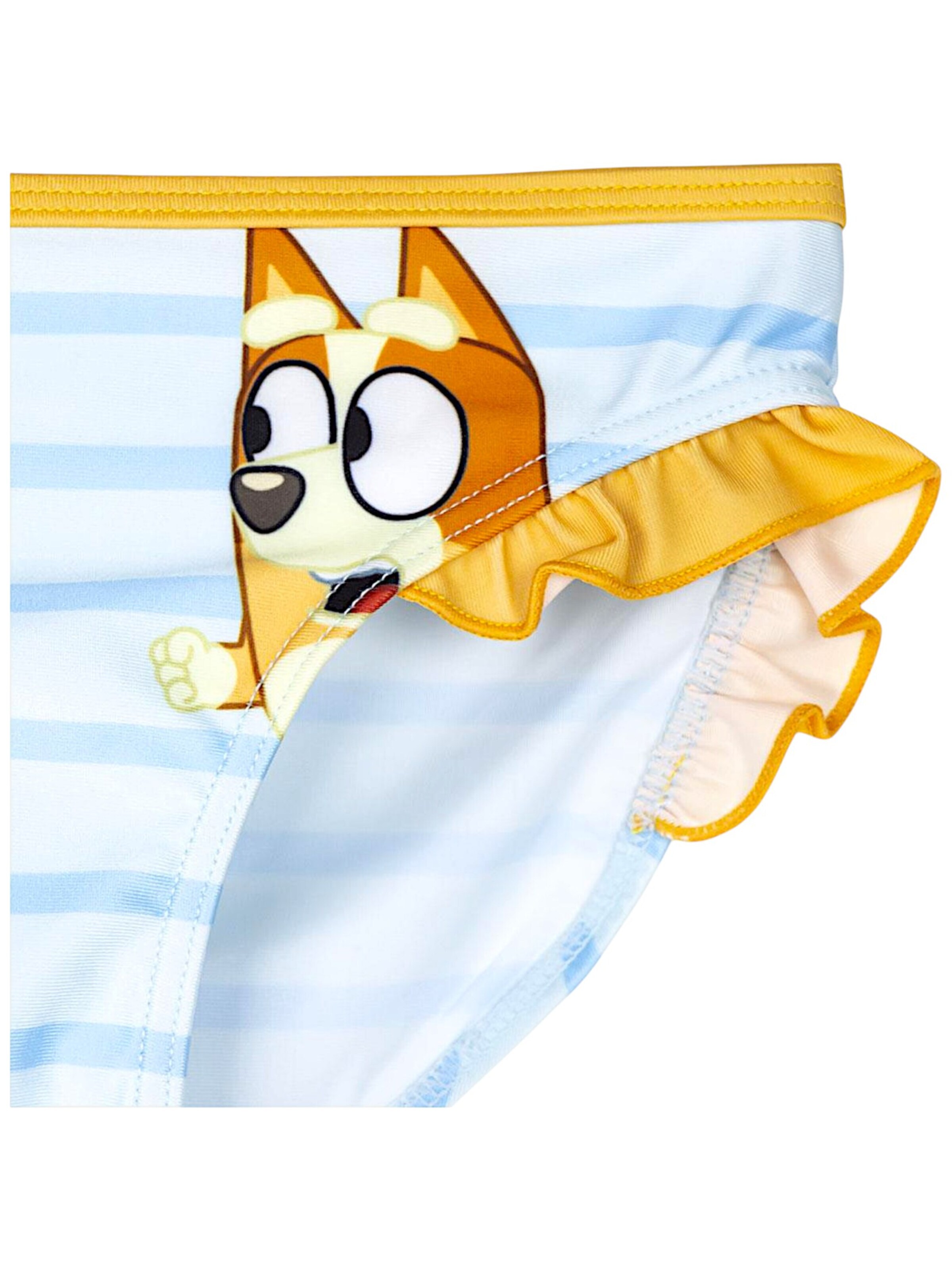 Bluey Bikini 'Bluey & Bingo' in Blue