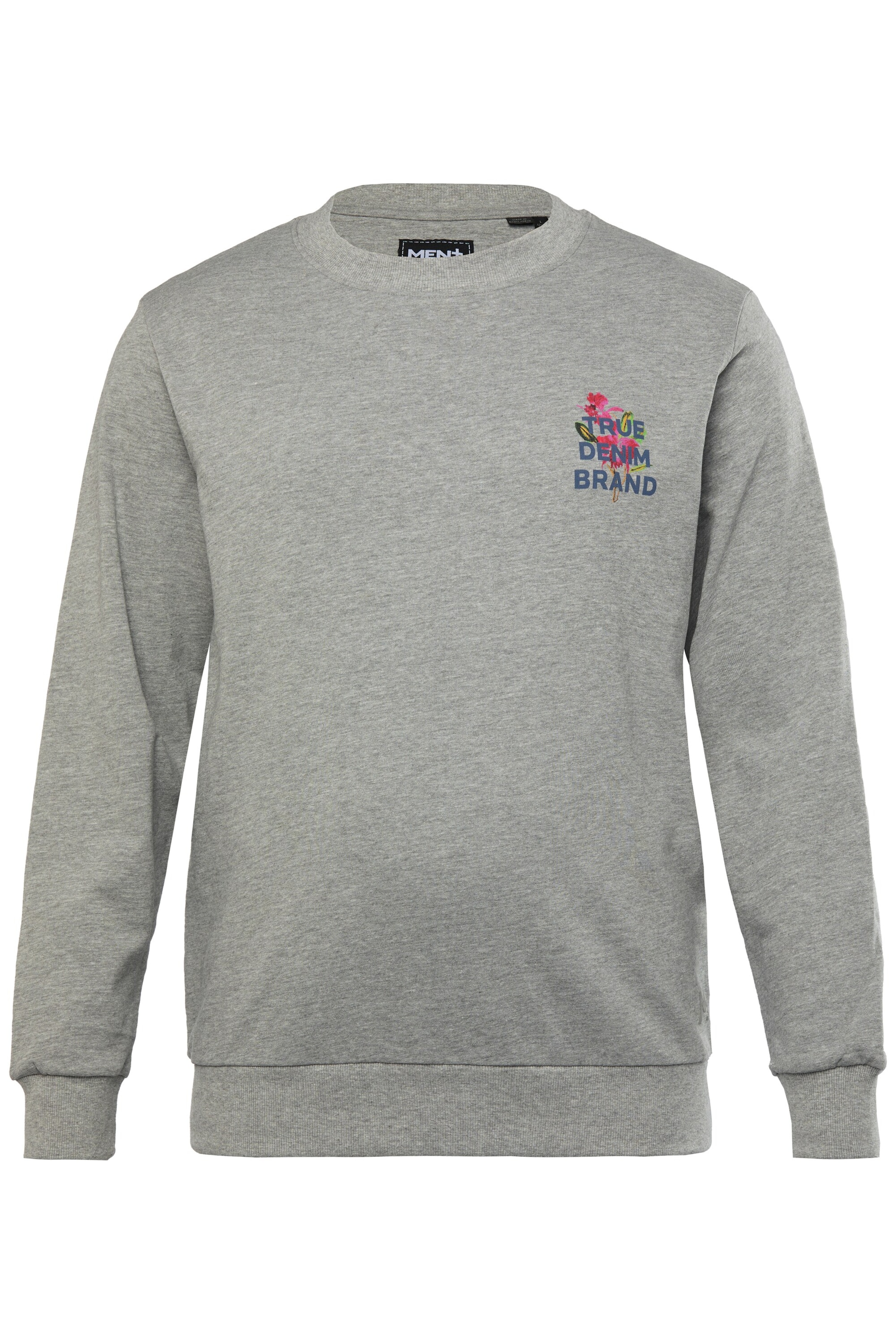 Men Plus Pullover in Grau: Vorderseite