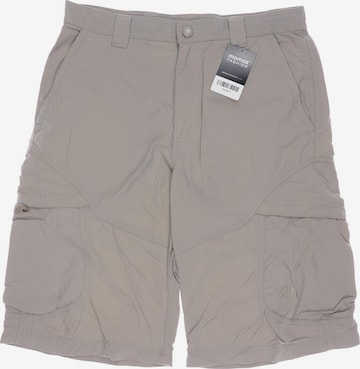 THE NORTH FACE Shorts 32 in Grau: predná strana