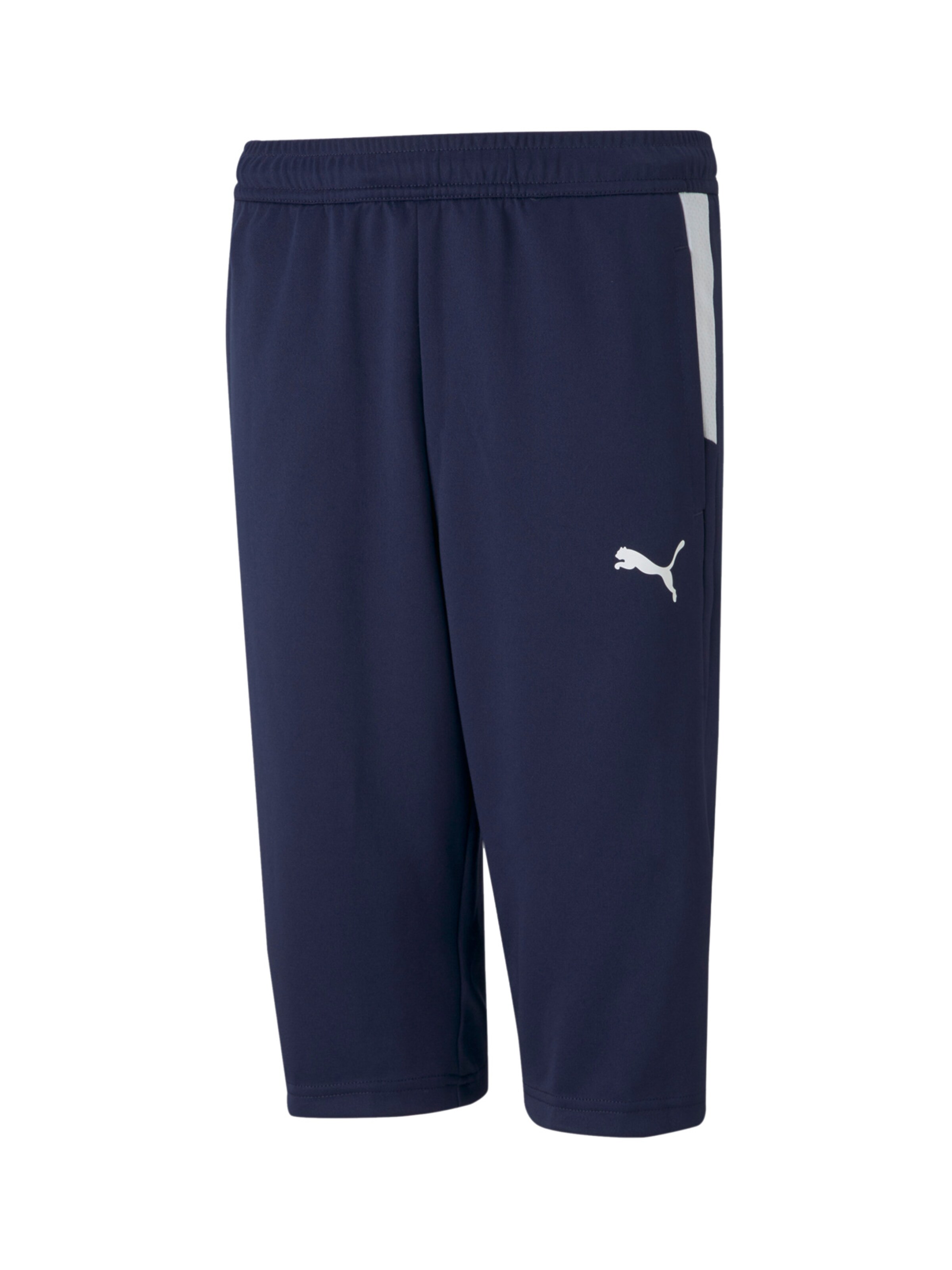 PUMA Regular Weatherproof pants in Blue: front
