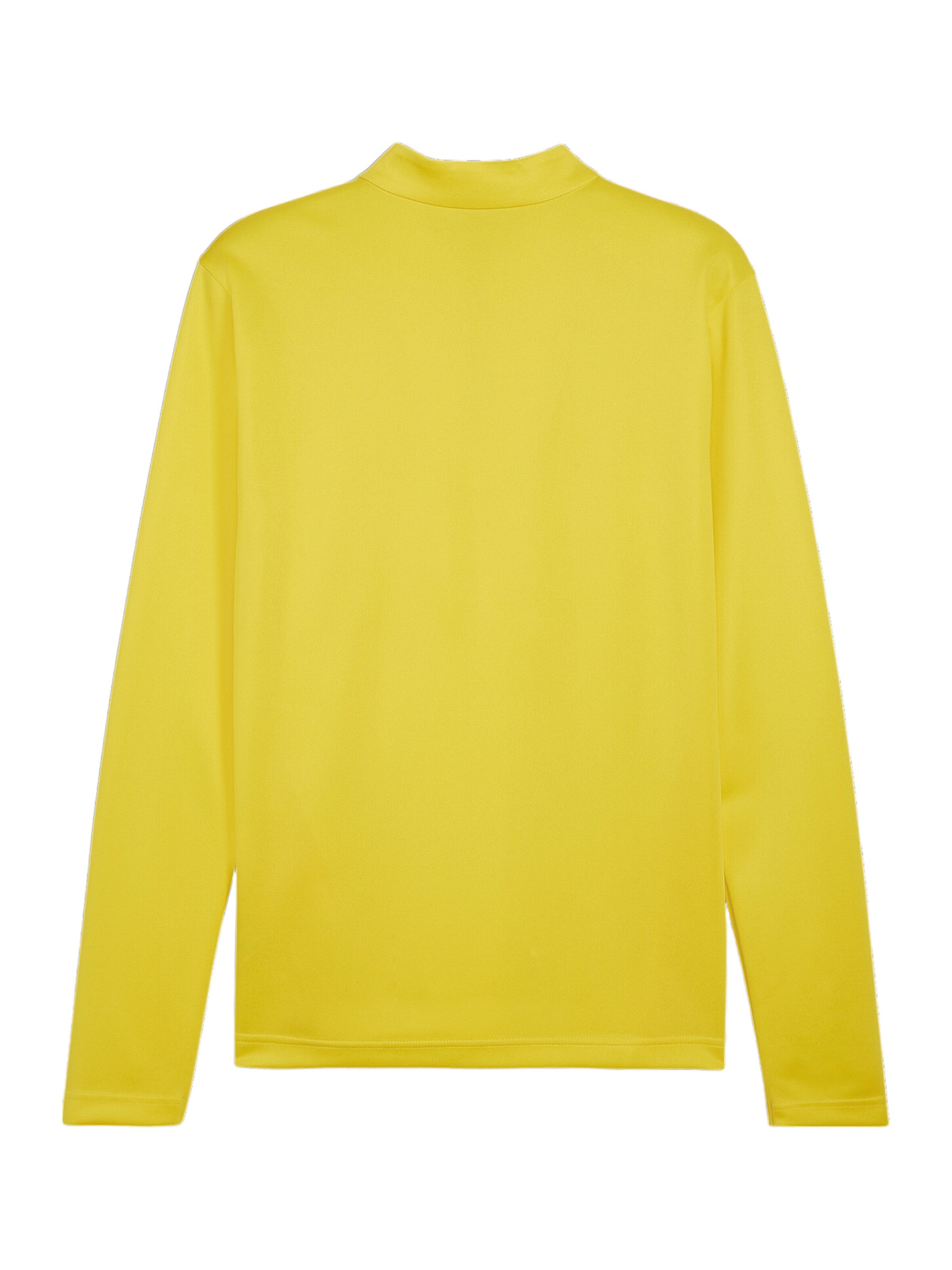 PUMA Performance Shirt 'TeamGoal' in Yellow