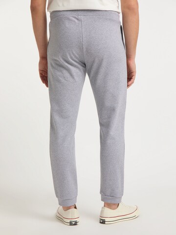 SOMWR Regular Pants 'Sapwood' in Grey