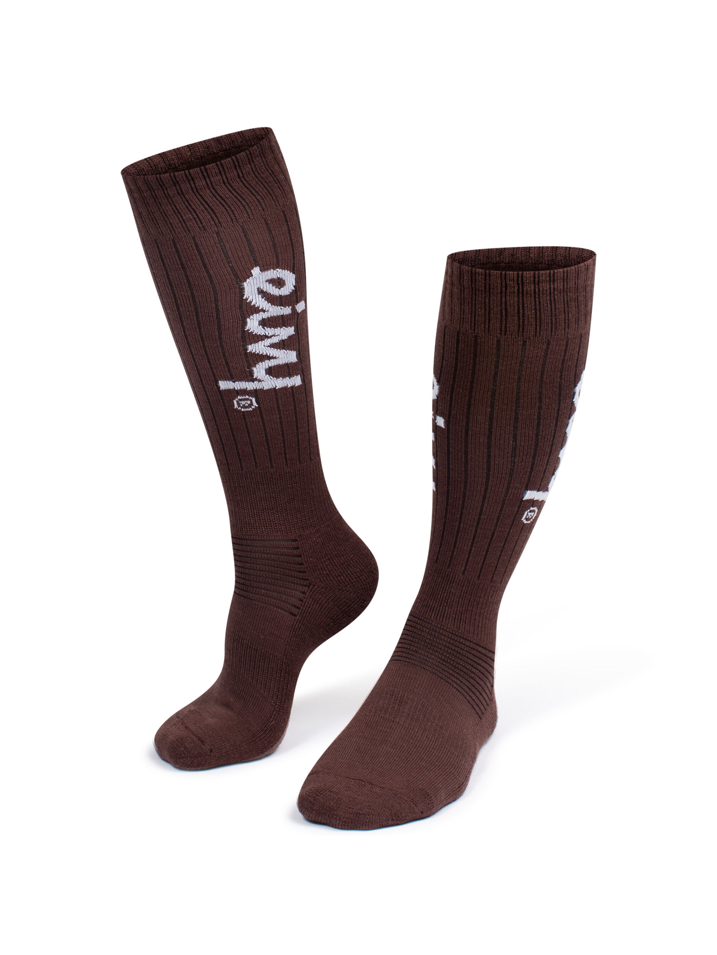 Eivy Skisocken in Braun: Vorderseite
