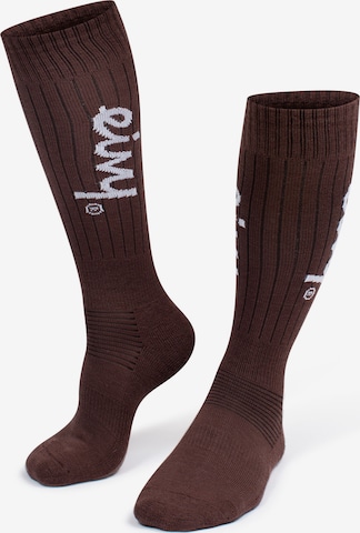 Chaussettes de sport Eivy en marron : devant