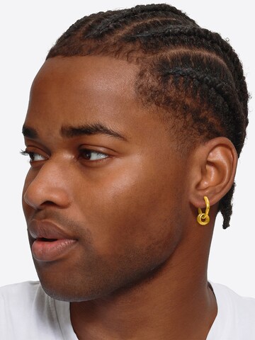 Boucles d'oreilles Heideman en or : devant