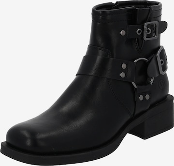 juoda Palado Auliniai 'Kaisuzo': priekis