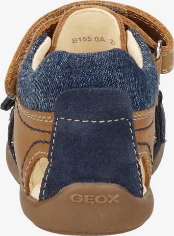 GEOX Sandals & Slippers 'Kaytan' in Brown