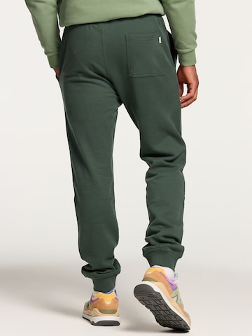 Tapered Pantaloni di Shiwi in verde