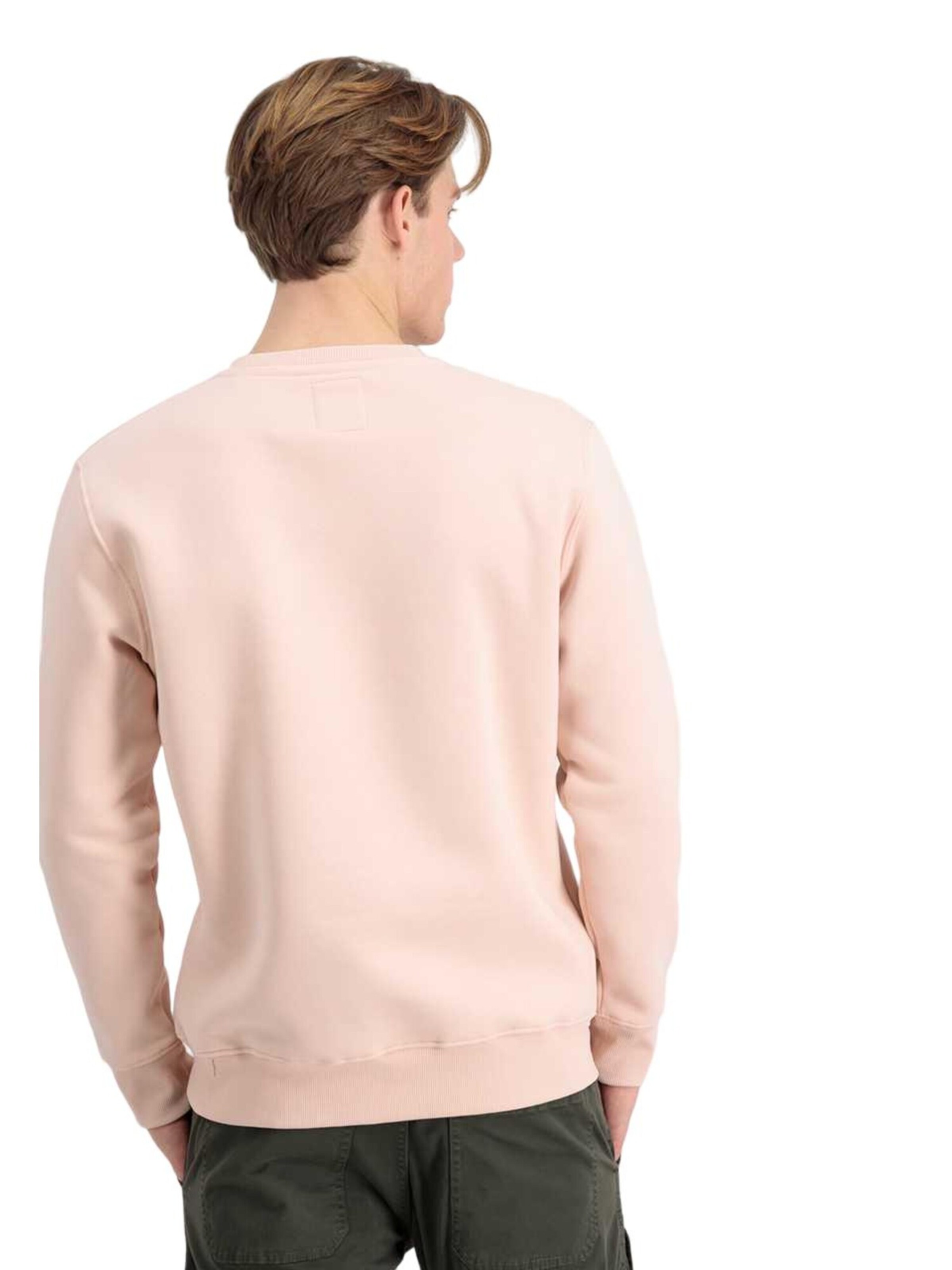 ALPHA INDUSTRIES Sweatshirt 'Basic Small Logo' in Orange