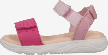 Sandales 'Deaphne' GEOX en rose : devant