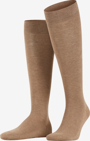 FALKE Knee High Socks 'Family' in Brown: front