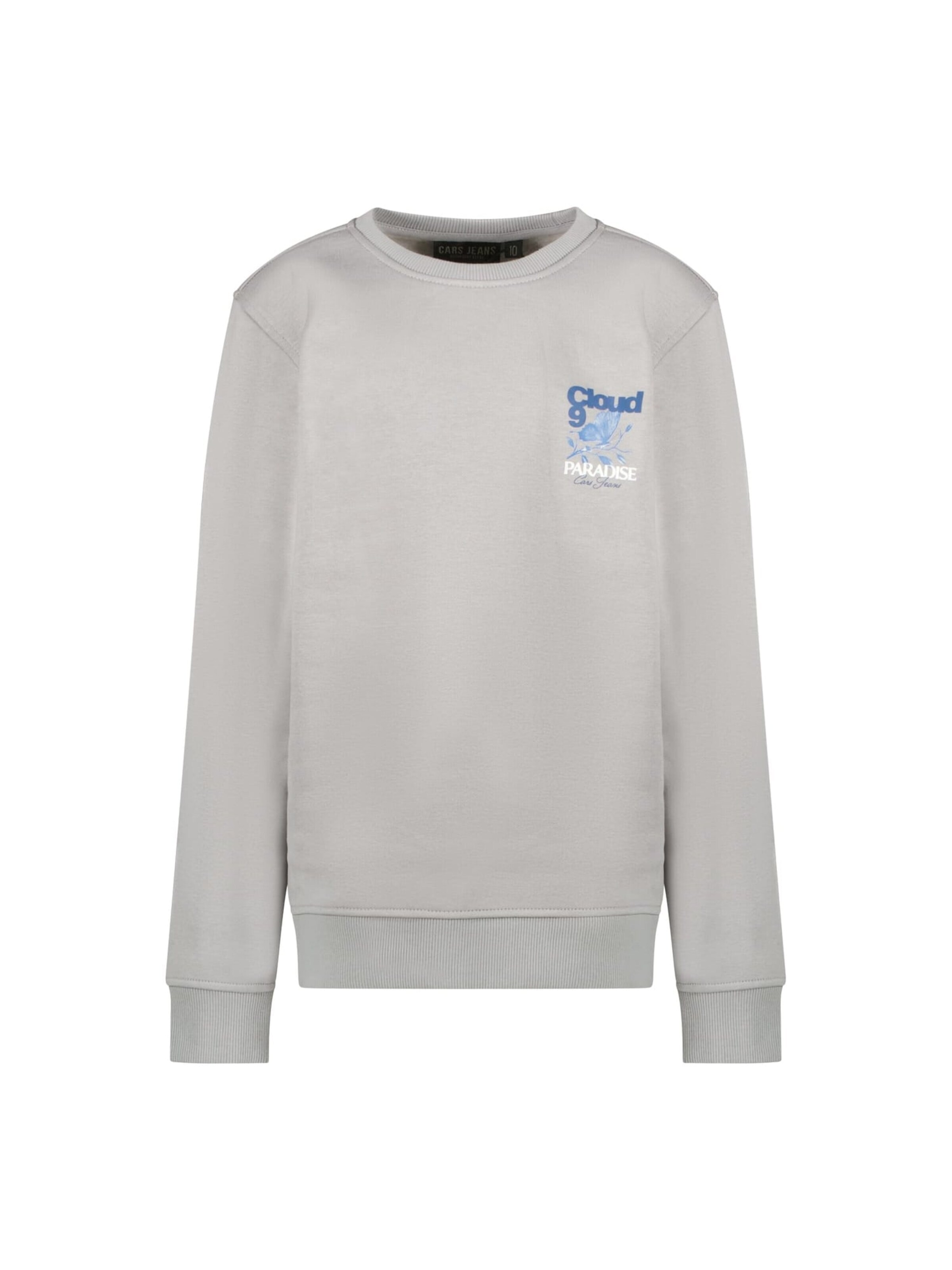CARS Sweatshirt in Grey: front