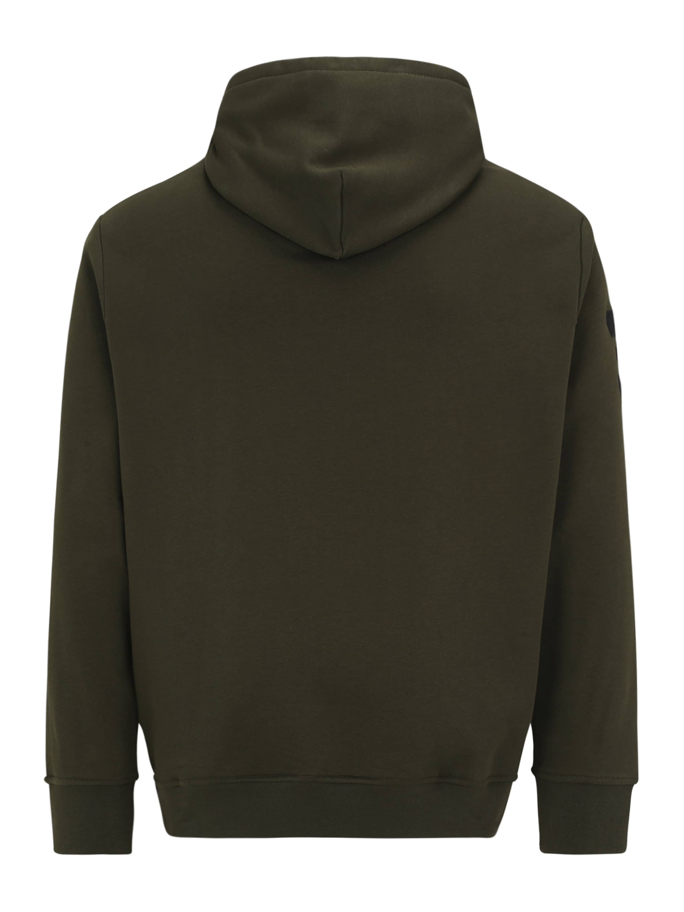 Sweat-shirt Polo Ralph Lauren en vert