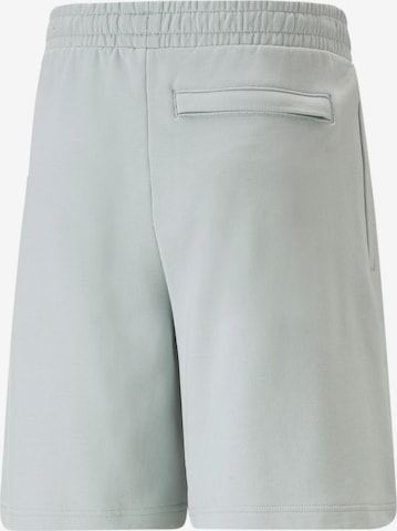 PUMA Regular Shorts in Grau