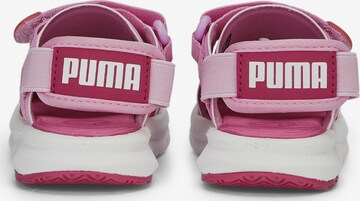 PUMA Strand-/badschoen 'Evolve' in Roze