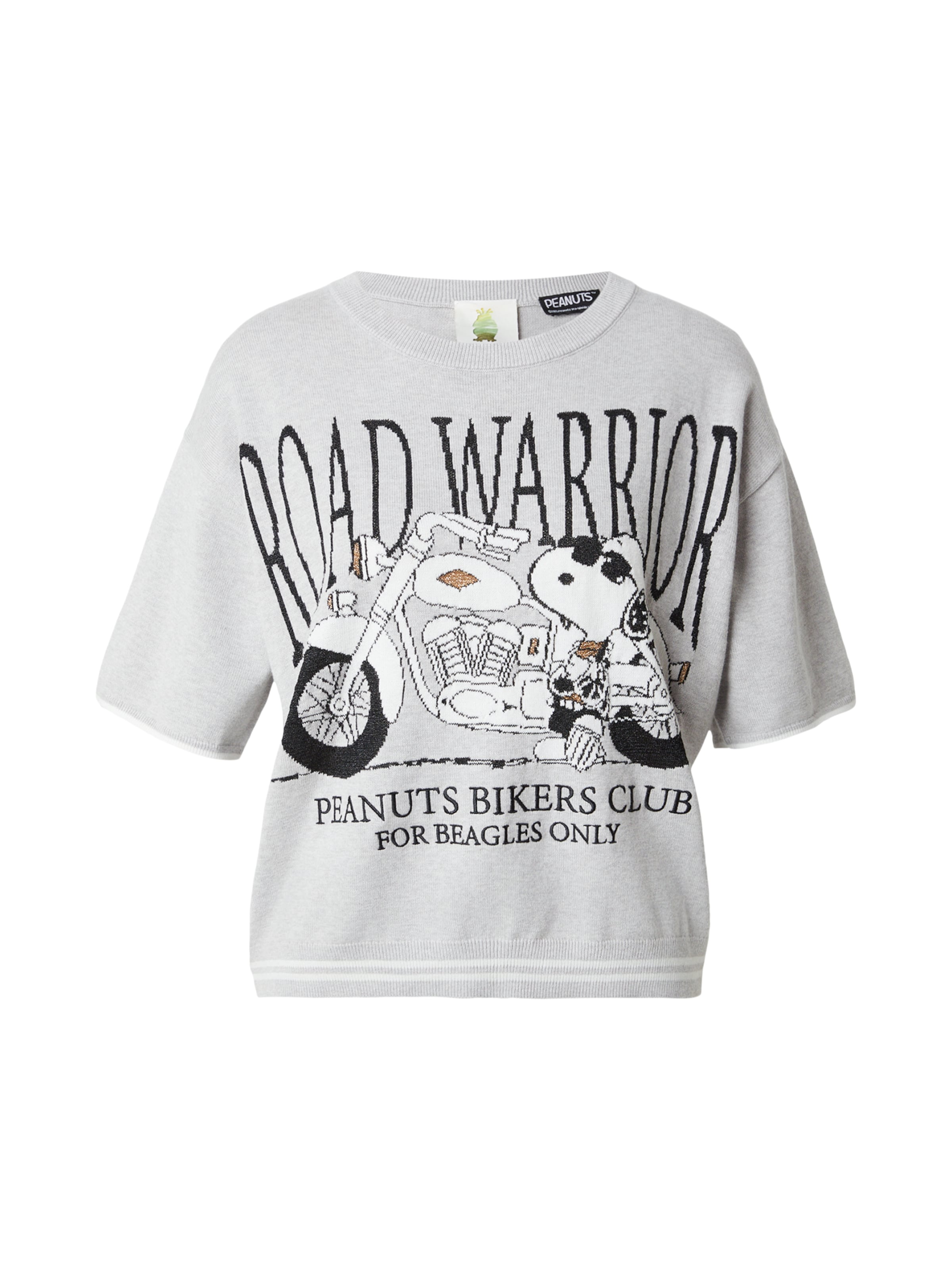 Pull-over 'Snoopy Road Warrior' PRINCESS GOES HOLLYWOOD en gris : devant