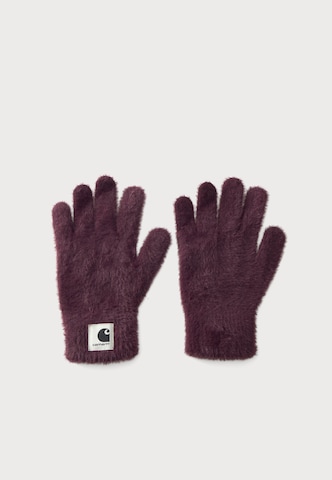 Carhartt WIP Rokavice 'Maine' | vijolična barva: sprednja stran