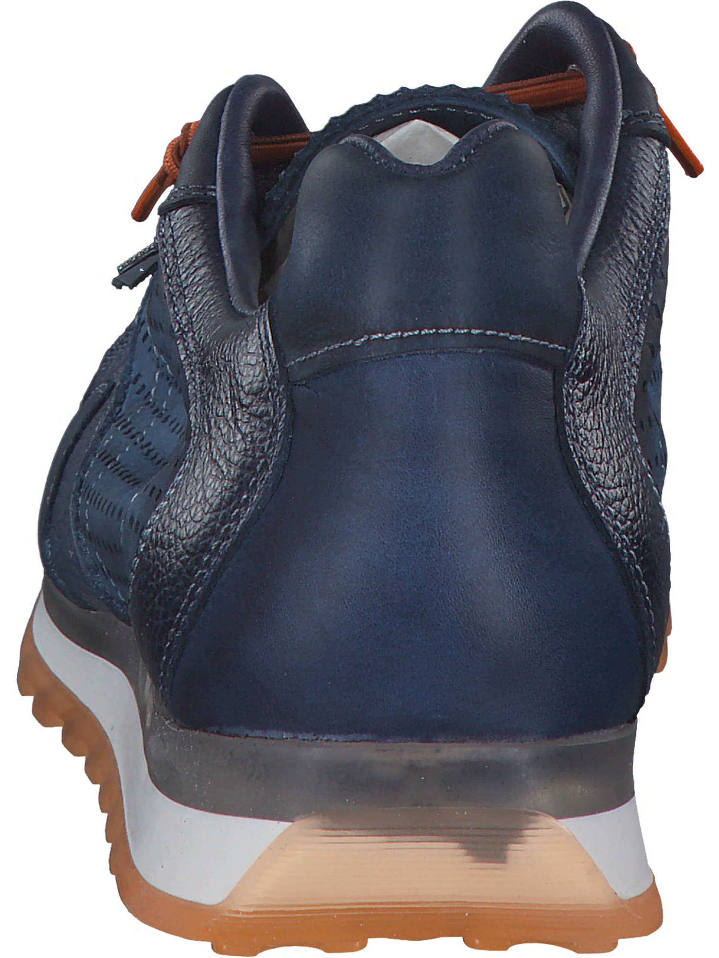 Cetti Sneakers laag 'C848 S M' in Blauw