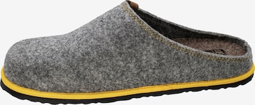 Fischer Markenschuh Hausschuh 'Helge' in Grau: Vorderseite