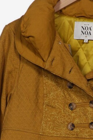 Noa Noa Jacket & Coat in M in Brown