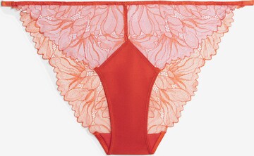 Slip di Calvin Klein Underwear in arancione: frontale