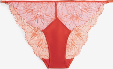 Calvin Klein Underwear Slip i orange: forside