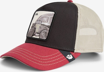 GOORIN Pet in Zwart ABOUT YOU