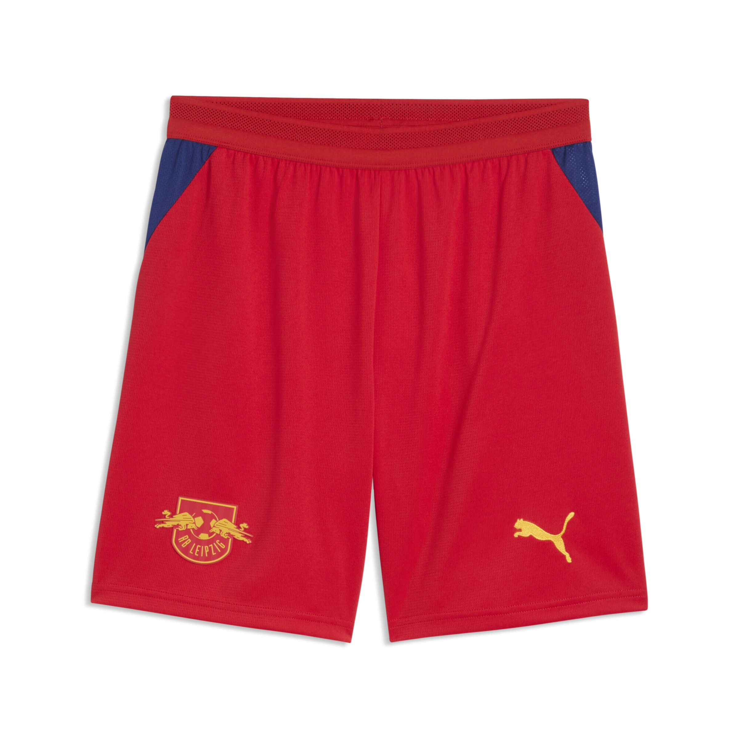 PUMA Regular Workout Pants 'RB Leipzig 26/27' in Red: front