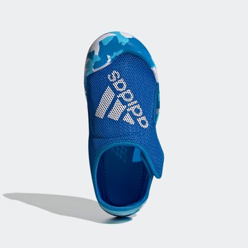 ADIDAS SPORTSWEAR Odprti čevlji 'Altaventure' | modra barva