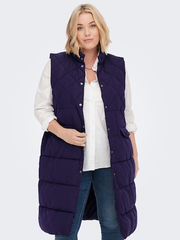 ONLY Carmakoma Vest in Blue: front