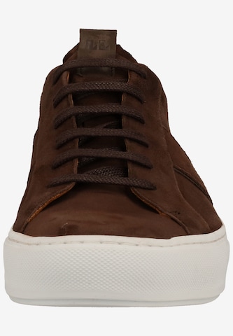 LLOYD Sneakers in Brown
