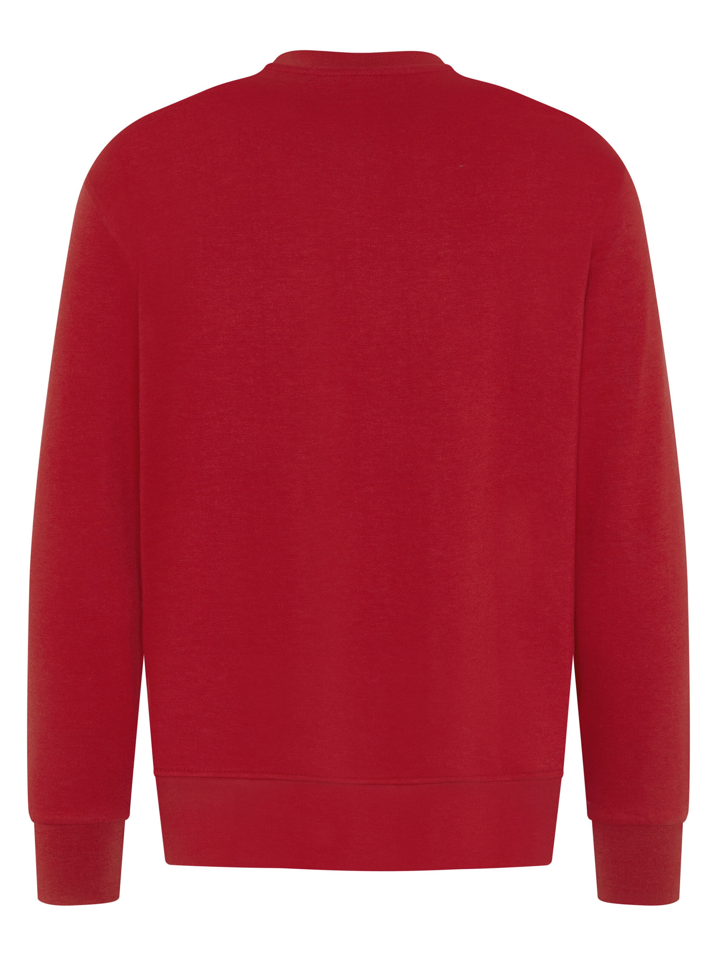Expand Sweatshirt in Rot