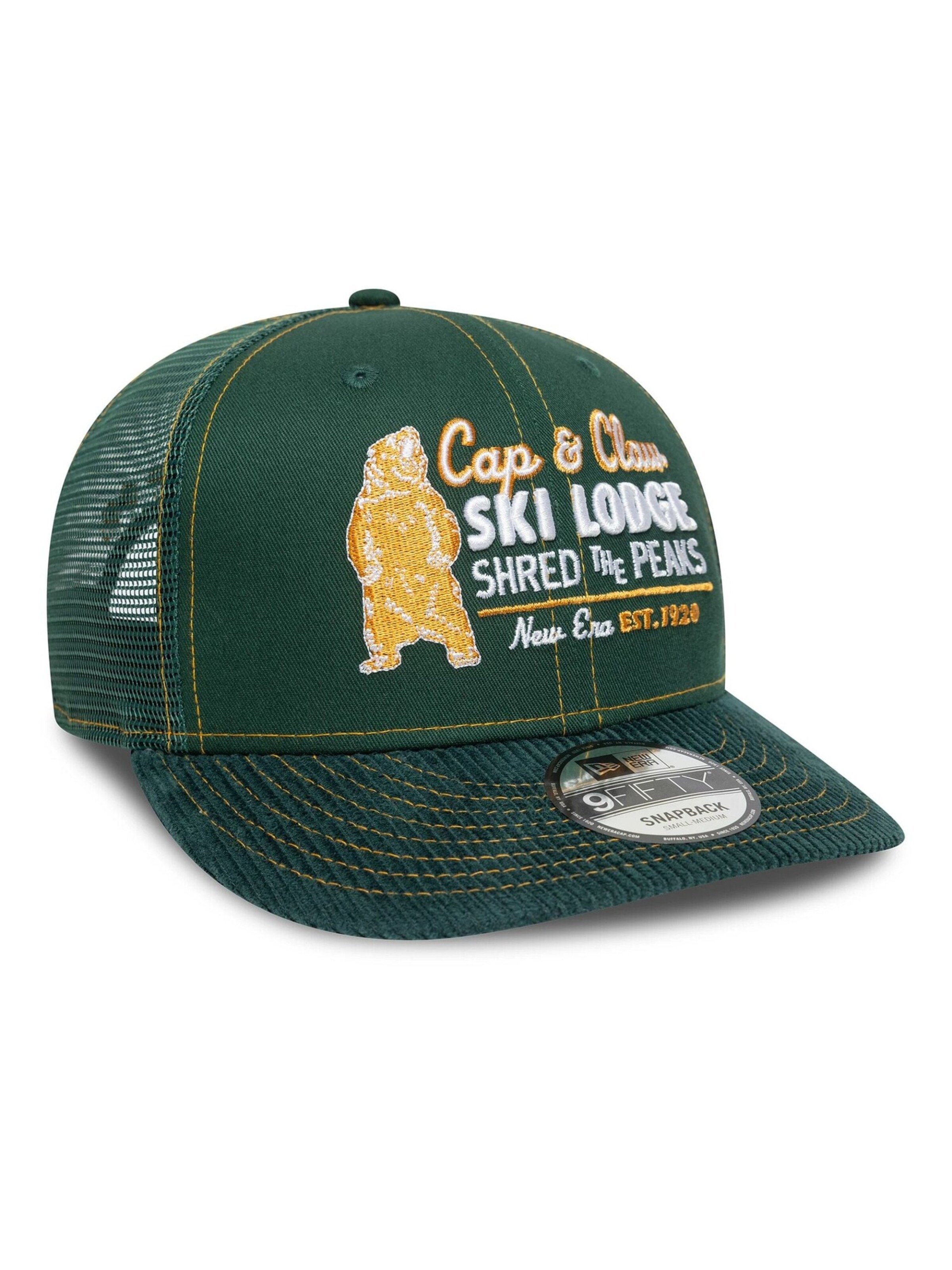 NEW ERA Cap '9FIFTY Ski Lodge' in Green