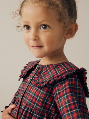 Next Kleid in Rot