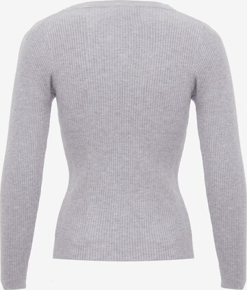 Pull-over leo selection en gris