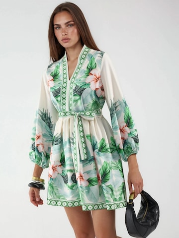 MSN Collection Dress in Green: front