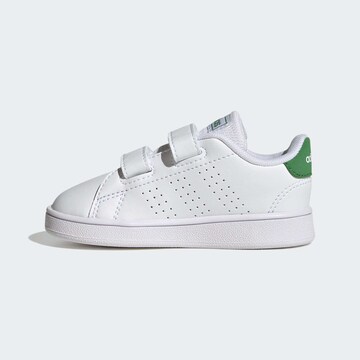 ADIDAS ORIGINALS Trampki 'Advantage' w kolorze biały