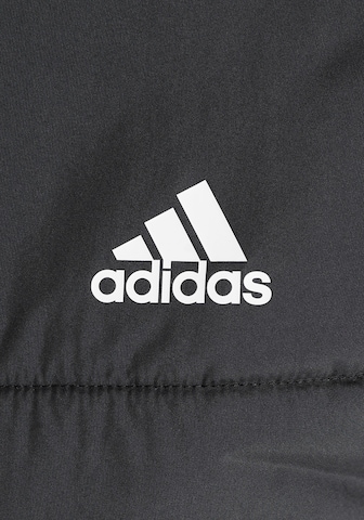 ADIDAS SPORTSWEAR Outdoorjas 'Padded' in Zwart