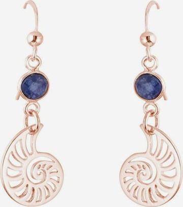 Gemshine Earrings in Gold: front