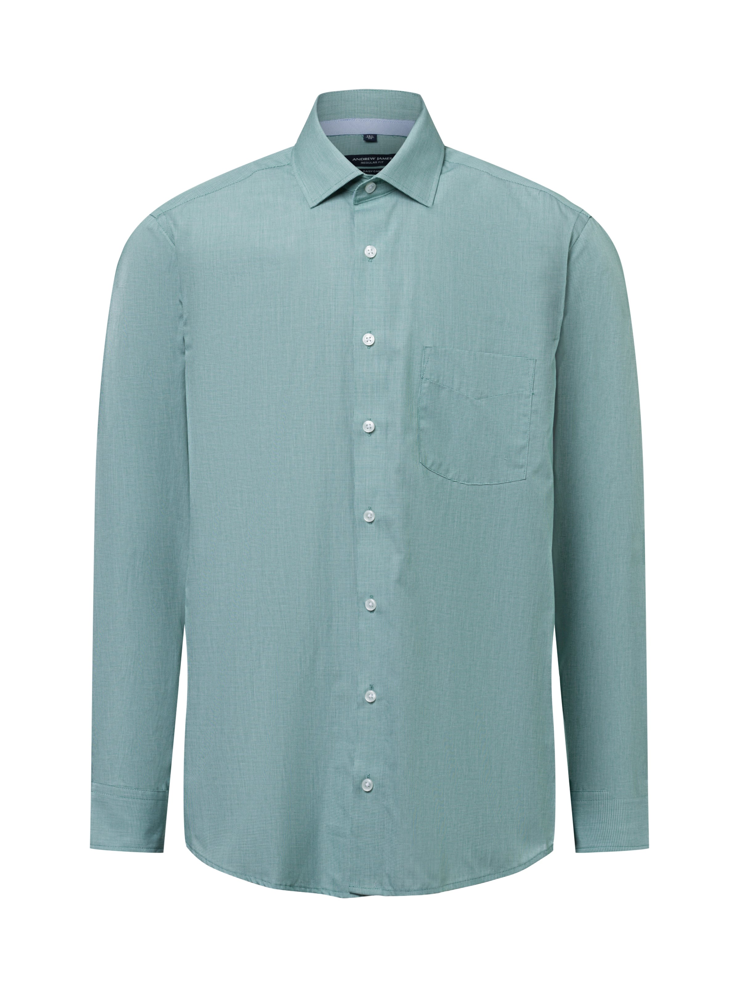 Andrew James Regular Fit Hemd in Grün: Vorderseite
