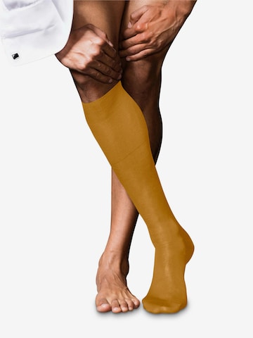 FALKE Kniestrümpfe 'No. 9 Pure Fil d´Écosse' in Braun: Vorderseite