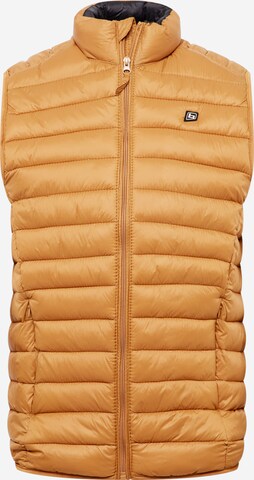 Gilet 'Romsey' di BLEND in marrone: frontale