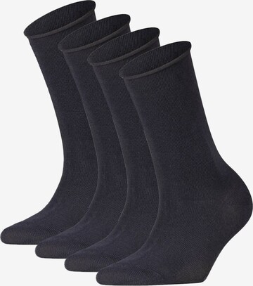 FALKE Socks in Blue: front